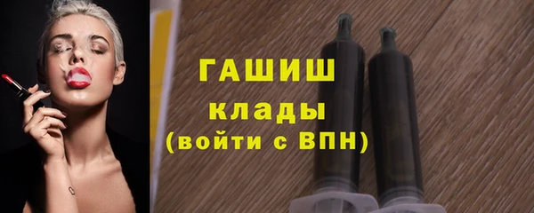 твердый Бородино
